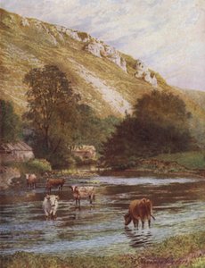 On the Wye, Upper Dale Farm, Monsal Dale (väri litho) tekijältä William Biscombe Gardner