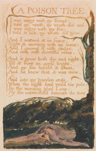 Songs of Innocence and of Experience, levy 41, "A Poison Tree" (Bentley 49)