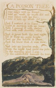 "A Poison Tree", levy 40 julkaisusta "Songs of Experience", 1794 (väripainettu reliefietsaus vesiväreillä) tekijältä William Blake