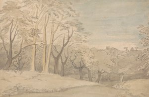 Puinen maisema tekijältä William Blake