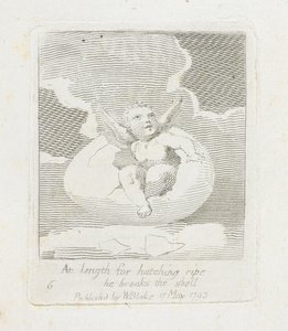 Pituudeltaan kuoriutumiseen kypsä hän rikkoo kuoren, levy 8 julkaisusta For Children. Paratiisin portit, 1793 tekijältä William Blake