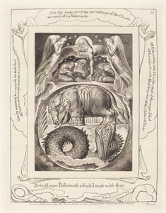 Behemoth ja Leviatan, 1825. tekijältä William Blake