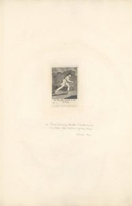 Sukupuolille- Paratiisin portit, levy 16, Matkustaja kiirehti illalla tekijältä William Blake