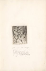 Sukupuolille- Paratiisin portit, levy 7, Tuli tekijältä William Blake