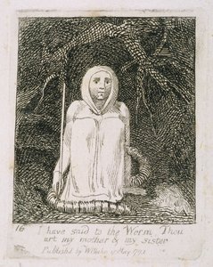 Olen sanonut matolle, että olet äitini ja sisareni, levy 17 kohdasta Lapsille. Paratiisin portit, 1793 tekijältä William Blake