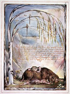"In Thunders Ends the Voice", levy 7 Amerikasta, profetia tekijältä William Blake