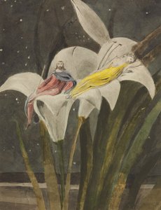 Oberon ja Titania liljalla, noin 1795 (lyijykynä, tussi, muste, vesiväri paperille). tekijältä William Blake