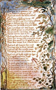 P.125-1950.pt27 Toisen surusta: levy 27 teoksesta Lauluja viattomuudesta ja kokemuksesta (kopio AA) n.1815-26 (etsaus, tussi ja akvarelli). tekijältä William Blake