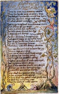 P.125-1950.pt53 The School Boy: plate 53 mula sa Songs of Innocence and of Experience (copy AA) c.1815-26 (etching, ink and watercolor)finn tekijältä William Blake