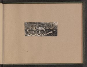 Paimenen paluu tekijältä William Blake