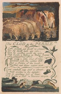Songs of Innocence and of Experience, levy 36, The Clod and the Pebble (Bentley 32) tekijältä William Blake