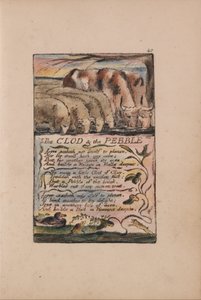 Songs of Innocence and of Experience, Plate 40, The Clod and the Pebble (Bentley 32) tekijältä William Blake
