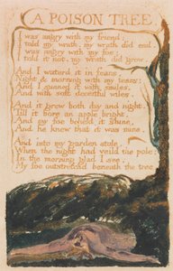 Songs of Innocence and of Experience, levy 41, "A Poison Tree" (Bentley 49) tekijältä William Blake