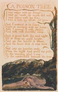 Viattomuuden ja kokemuksen lauluja, levy 41, myrkytyspuu (Bentley 49) tekijältä William Blake