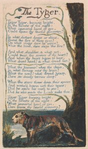 Viattomuuden ja kokemuksen lauluja, levy 42, Tyger (Bentley 42) tekijältä William Blake