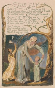 Songs of Innocence and of Experience, levy 48, "The Fly" (Bentley 40) tekijältä William Blake