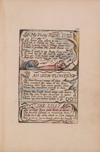 Lauluja viattomuudesta ja kokemuksesta, levy 53, Kaunis ruusupuuni, Ah! Aurinkokukka, Lilja... tekijältä William Blake