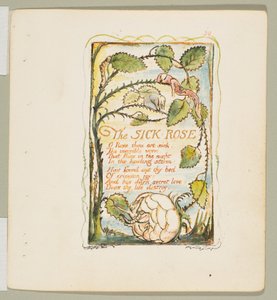 Songs of Innocence and of Experience: The Sick Rose, n. 1825. tekijältä William Blake