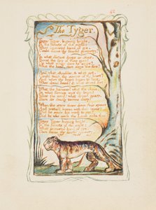 Songs of Innocence and of Experience: Tyger, n. 1825. tekijältä William Blake