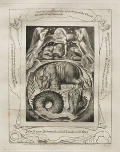 Jobin kirja: Pl. 15, Katso nyt Behemot, jonka tein sinun kanssasi tekijältä William Blake