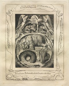 Jobin kirja: Pl. 15, Katso nyt Behemot, jonka tein sinun kanssasi tekijältä William Blake