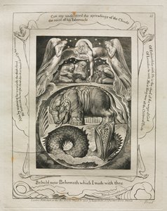 Jobin kirja: Pl. 15, Katso nyt Behemot, jonka tein kanssasi, 1825. tekijältä William Blake