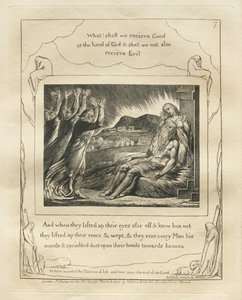 Jobin kirja: Pl. 7, Ja kun he nostivat katseensa kauas eivätkä tunteneet häntä..., 1825. tekijältä William Blake