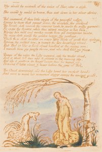 Thel -kirja, levy 4, Miksi rakastajattaren pitäisi. . . . tekijältä William Blake