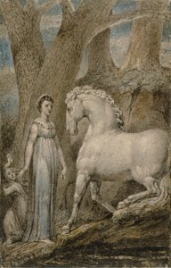 Hevonen tekijältä William Blake
