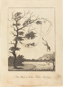 The Mecoo & Kisbee Kishee Monkeys, 1793. tekijältä William Blake