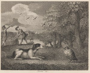 Setting-koira ja Partridge tekijältä William Blake