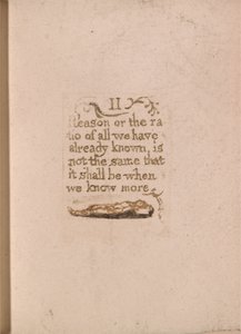Ei ole luonnollista uskontoa, Taulu 11, II Syy tai suhde. . . . (Bentley b4) tekijältä William Blake