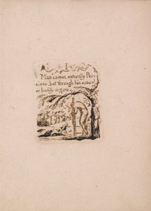 Luonnollista uskontoa ei ole, levy 3, minä en voi luonnollisesti. . . . (Bentley a4) tekijältä William Blake