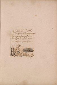 Ei ole luonnollista uskontoa, levy 6, IV Ei voi olla. . . . (Bentley a7) tekijältä William Blake