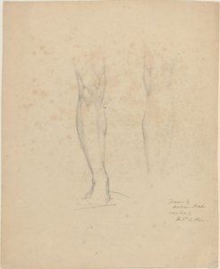 Kaksi jalkaa tekijältä William Blake