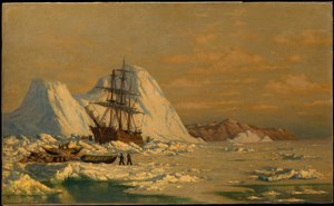  tekijältä William Bradford