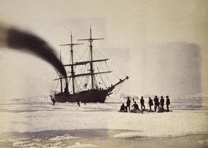 Metsästys Steamin kautta Melville Bayssä