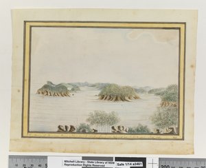 Opp. s. 93. `SW. Broken Bay New South Walesin käsivarsi sisäänkäynnin saarelta. Syys 1789