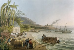 Carting and Putting Sugar Hogsheads on Board, levy X julkaisusta "Ten Views in the Island of Antigua", julkaisija W. Clark, Lontoo, 1823 (värillinen akvatinta)