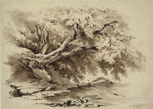 Maisema puilla järven yläpuolella tekijältä William Collingwood Smith