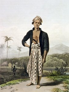 Alemman luokan jaava, levy 2 osasta Vol. Thomas Stamford Rafflesin (1781-1826) 