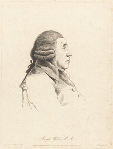  tekijältä William Daniell