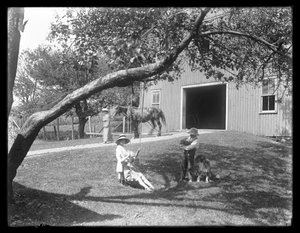 McCready-perheen lapset koiran ja koiranpennun kanssa ovat kokoontuneet köysikeinun ympärille ladon ulkopuolella, noin 1913. tekijältä William Davis Hassler