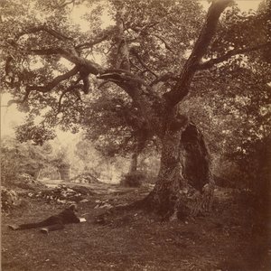 Forêt de Fontainebleau tekijältä William Drooke Harrison