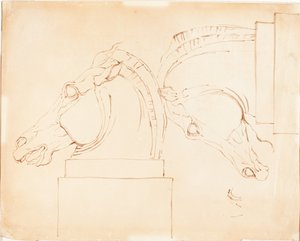 Selenen hevonen Elginin marmoreista [recto] tekijältä William Etty