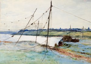 Lohiverkot