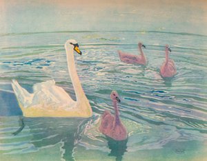 Joutsen ja Cygnets, 1911, 1928