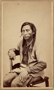 Harmaa susi,1860-luku (kuva) tekijältä William Gunnison Chamberlain