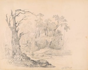 Kohtaus Scottilta tekijältä William Guy Wall