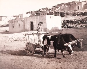 Vanha Carreta, Laguna, Uusi Meksiko tekijältä William H. Jackson